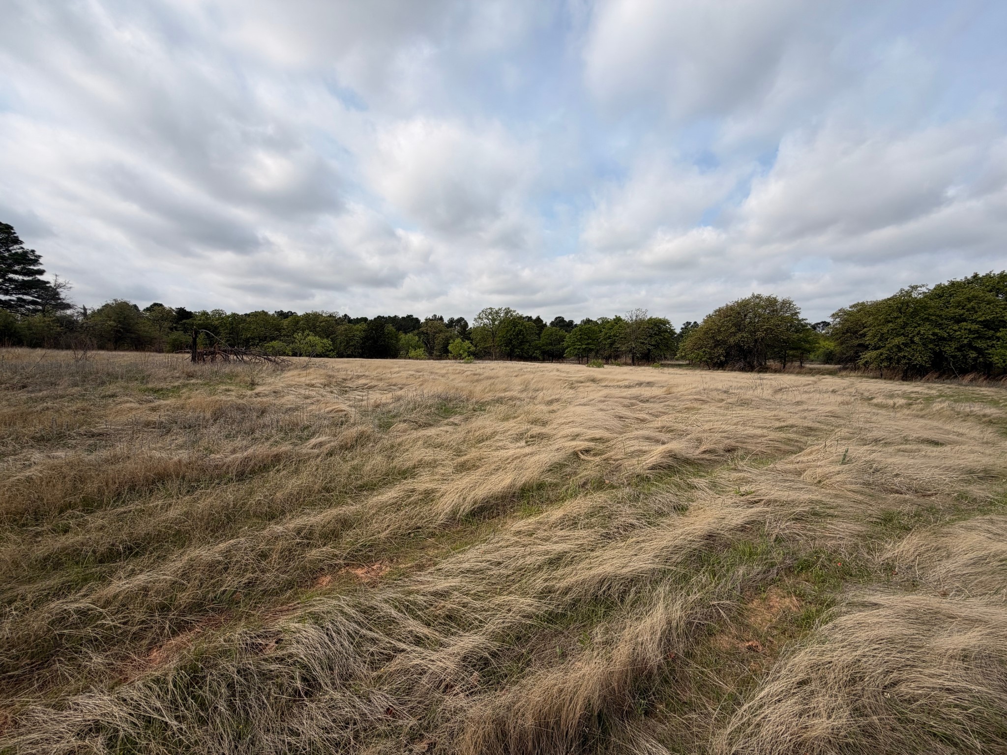 2548 County Road 2690 Alvord TX 76225