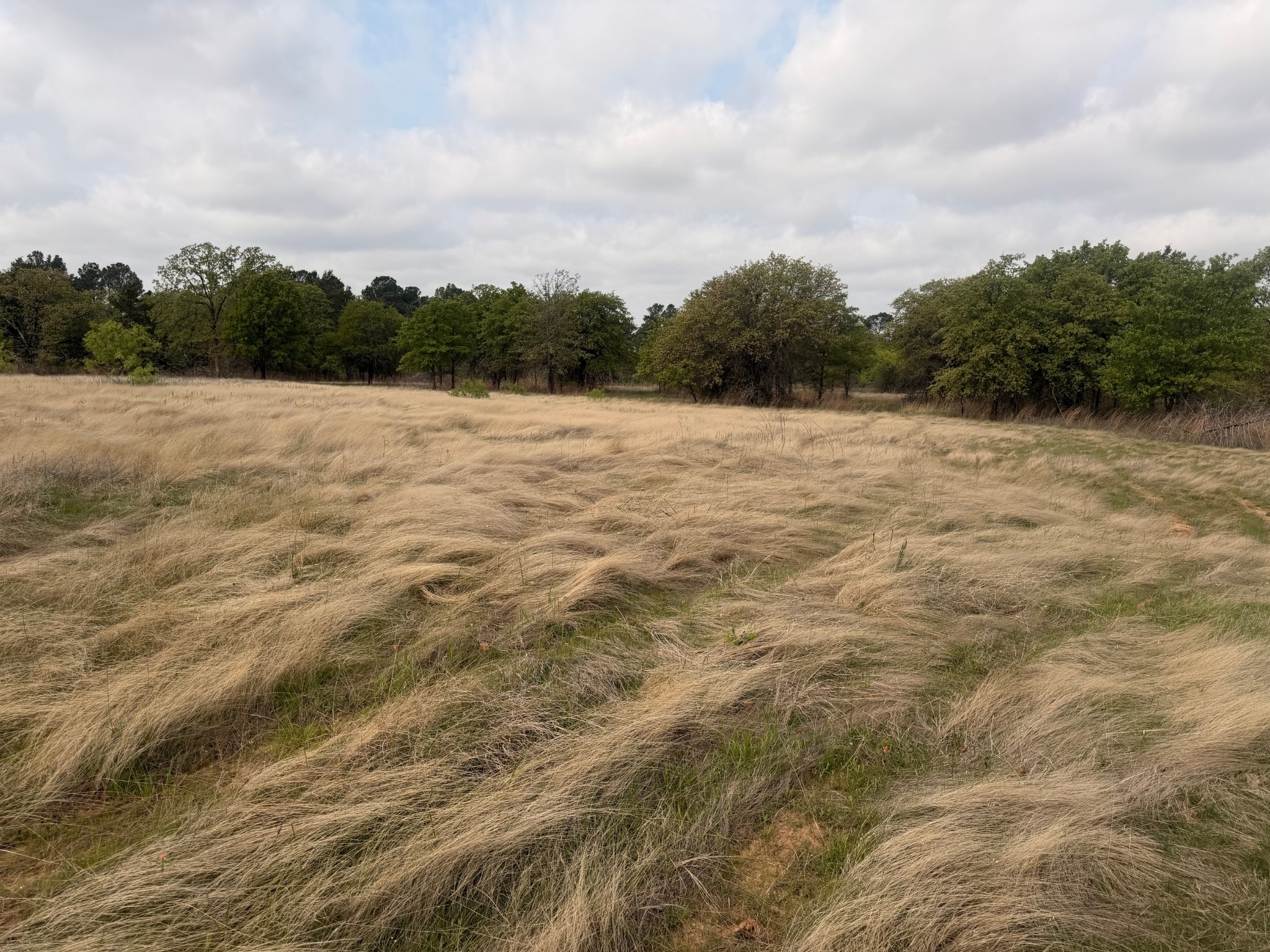 2548 County Road 2690 Alvord TX 76225