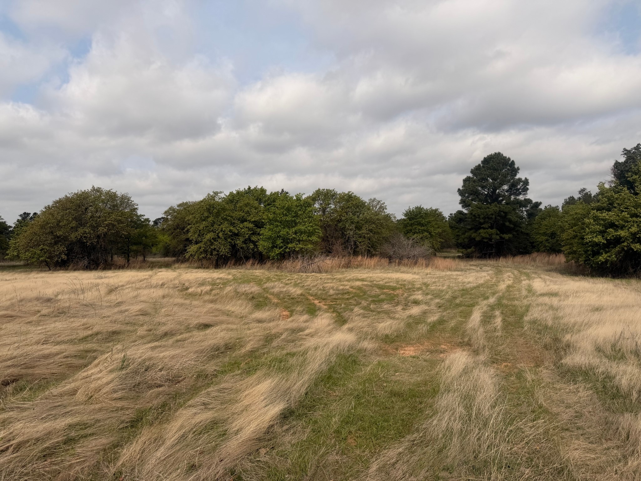 2548 County Road 2690 Alvord TX 76225