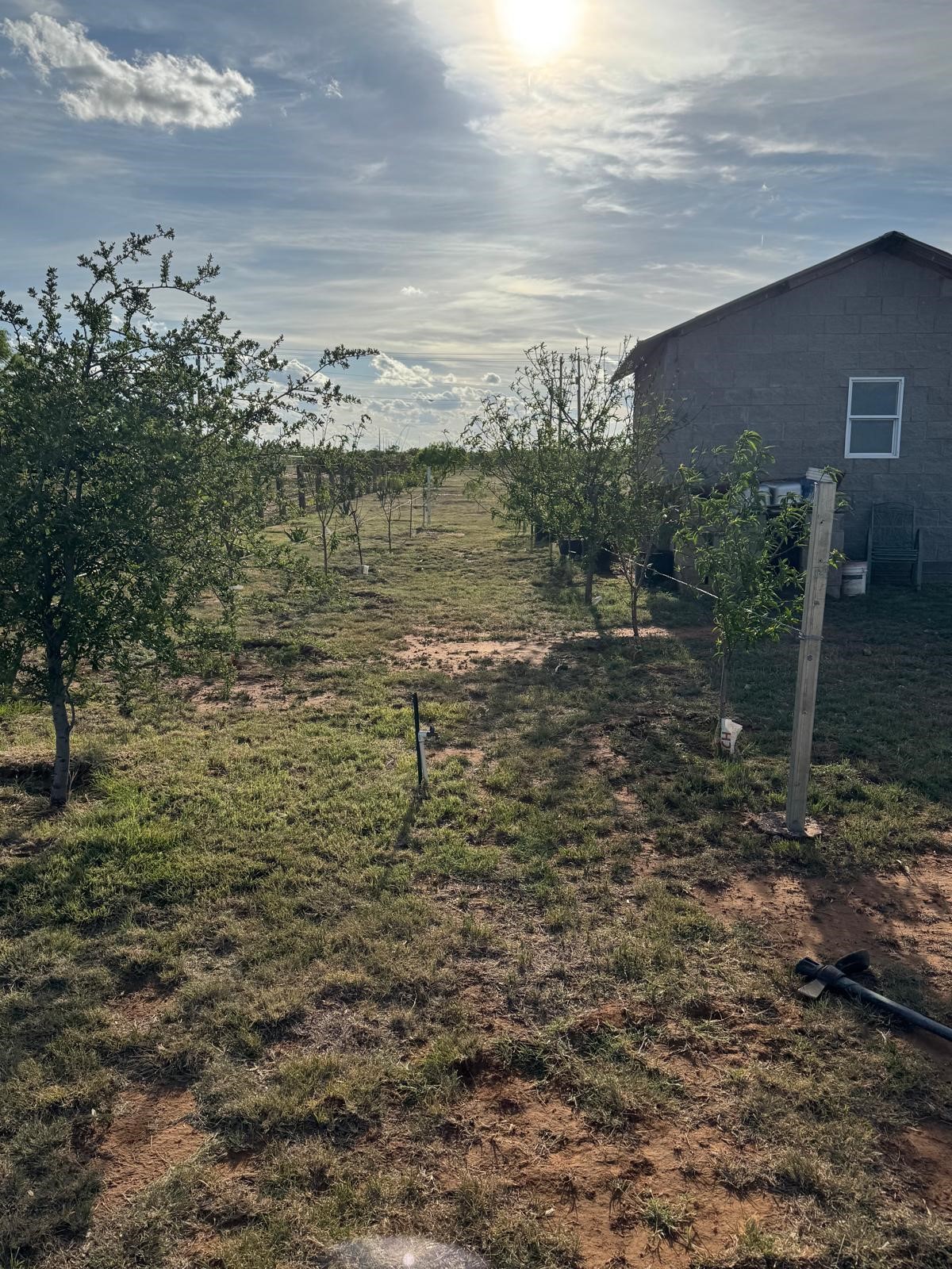 673 County Road 612 Trent TX 79561