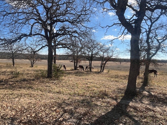 1705B County Road 122 Hico TX 76457