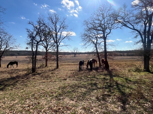 1705B County Road 122 Hico TX 76457