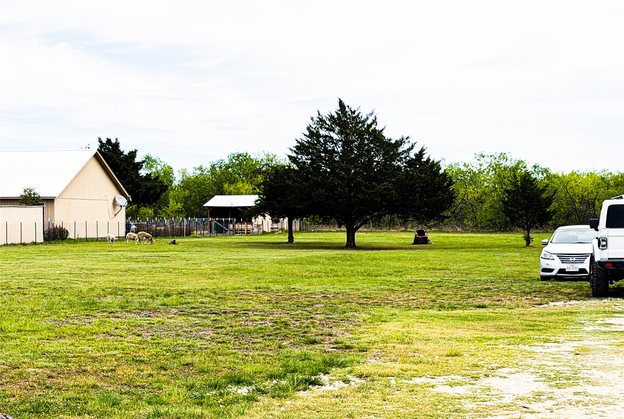 11124 Boren Road Wortham TX 76693