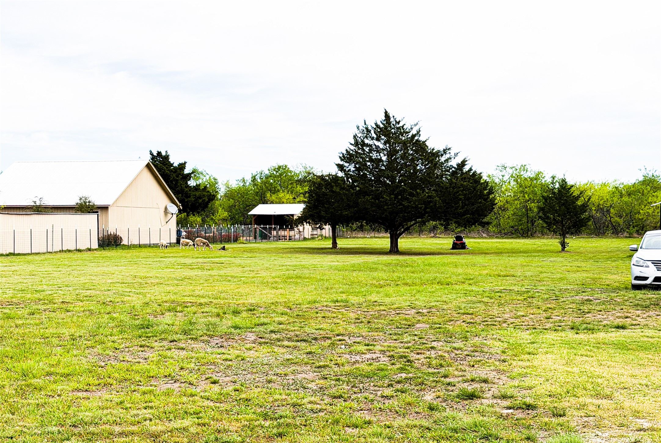 11124 Boren Road Wortham TX 76693