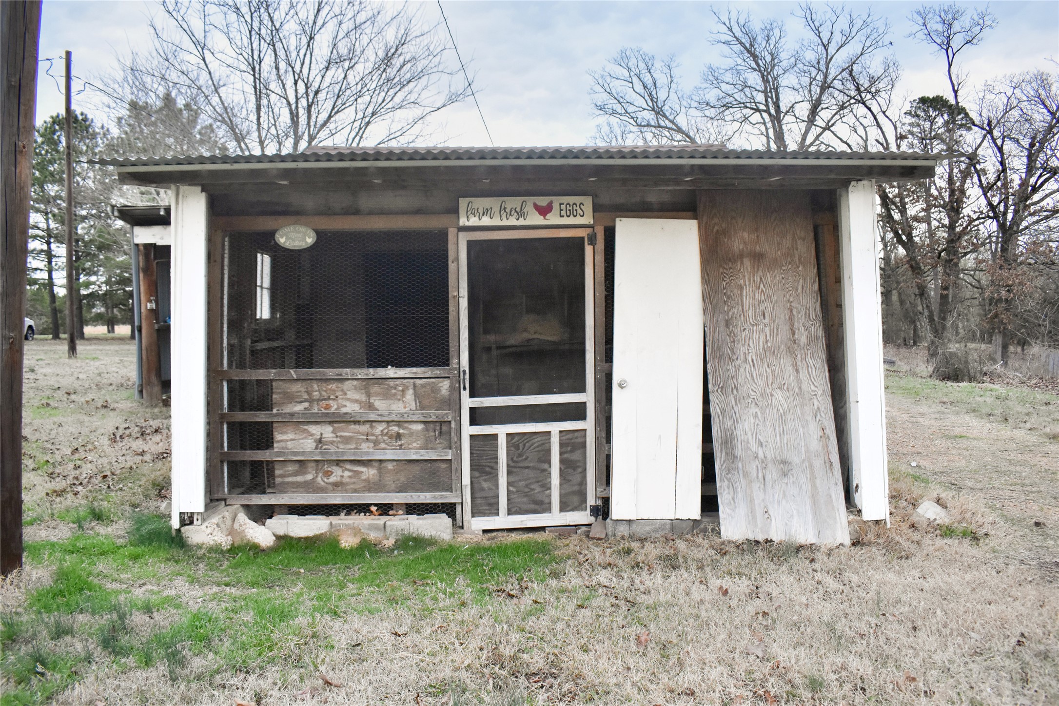 509 County Road 35985 Powderly TX 75473