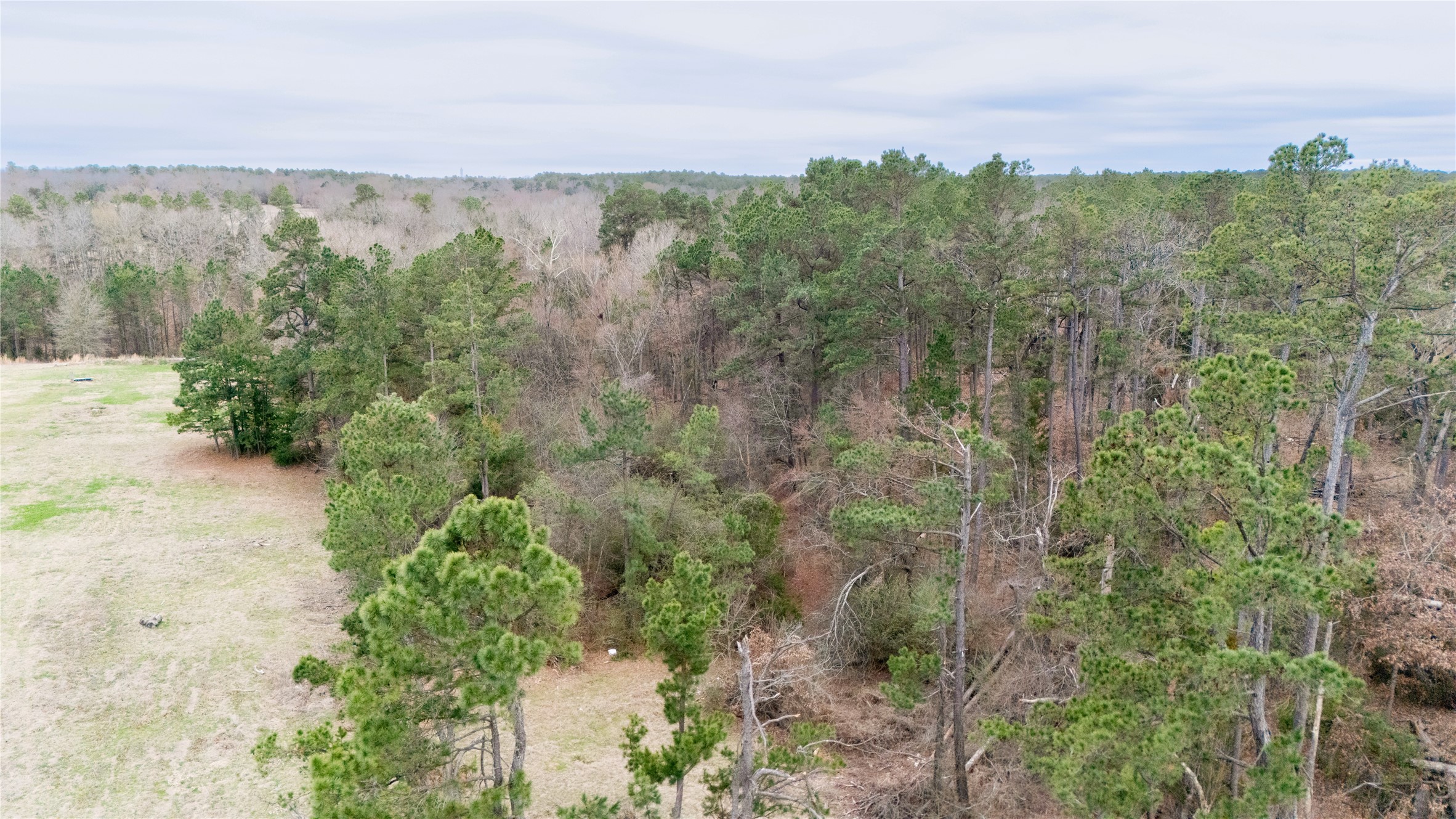 509 County Road 35985 Powderly TX 75473