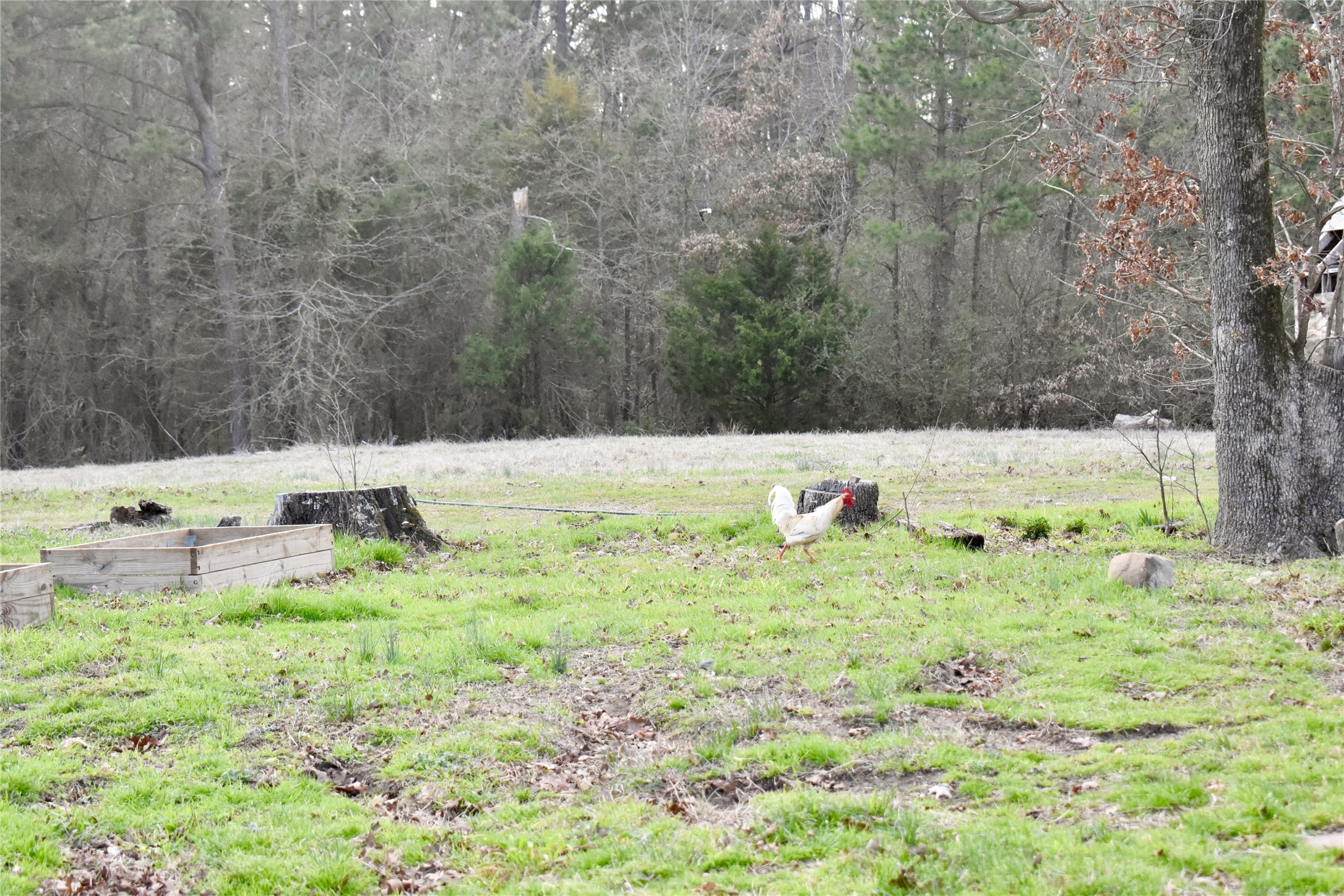 509 County Road 35985 Powderly TX 75473