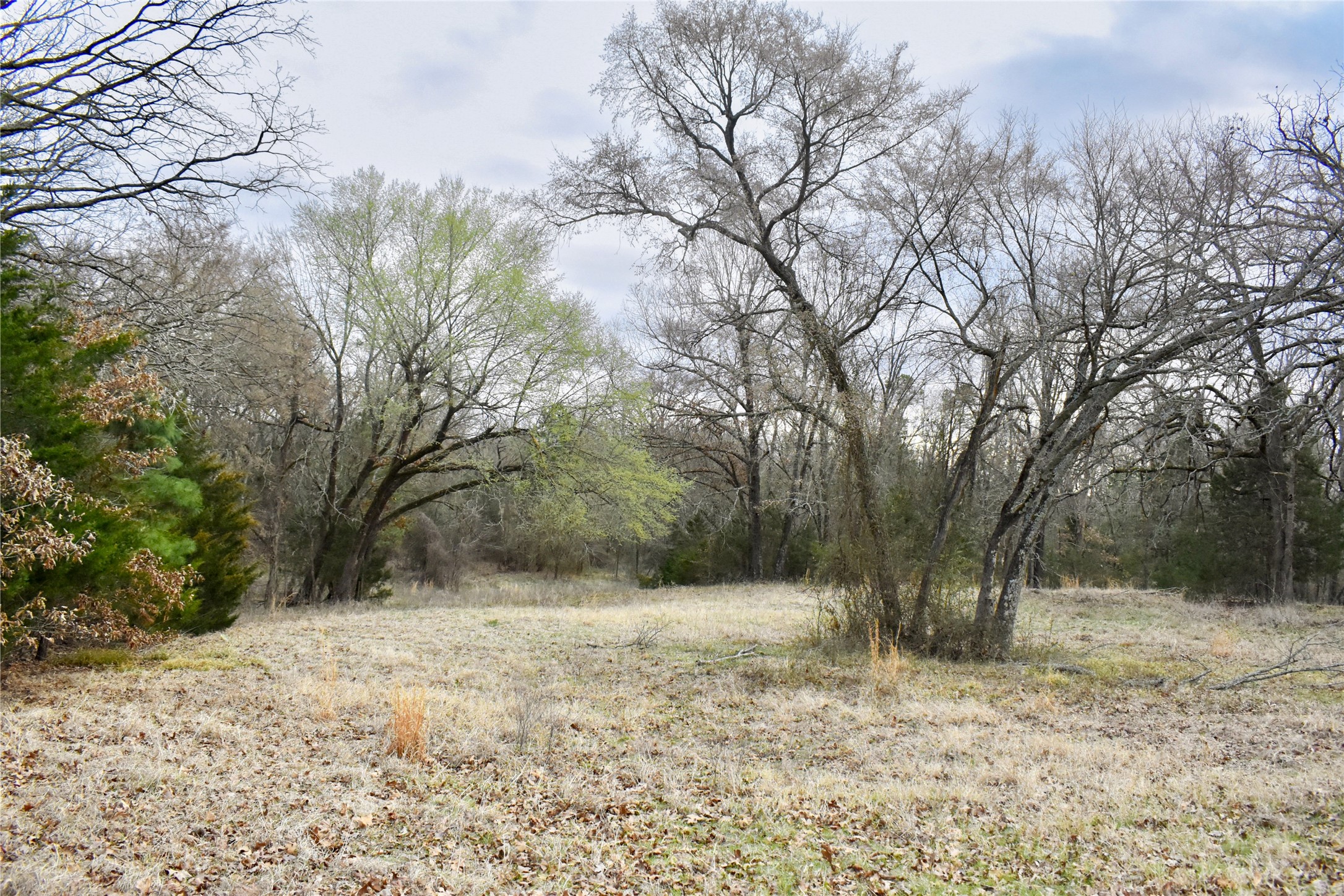 509 County Road 35985 Powderly TX 75473