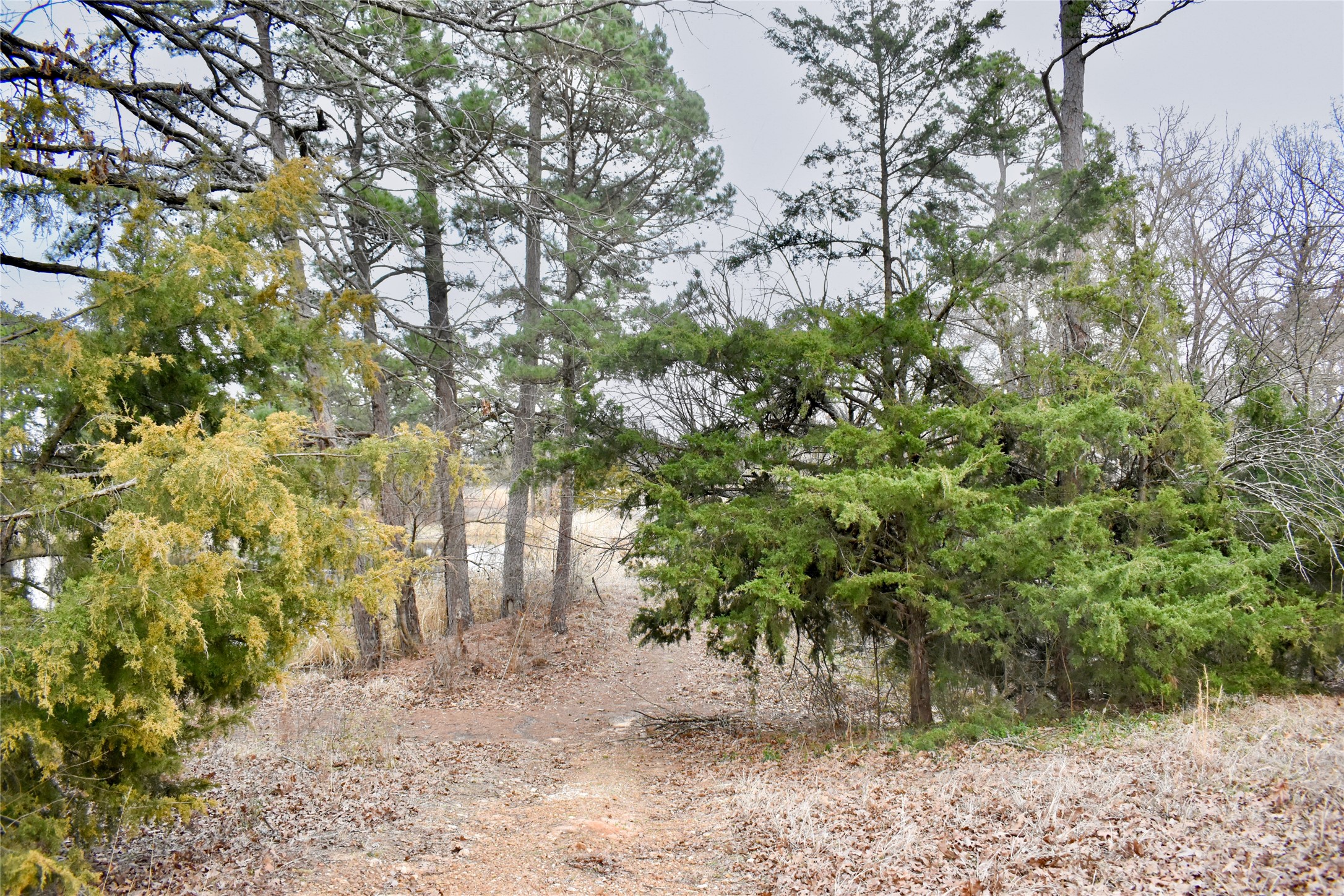509 County Road 35985 Powderly TX 75473
