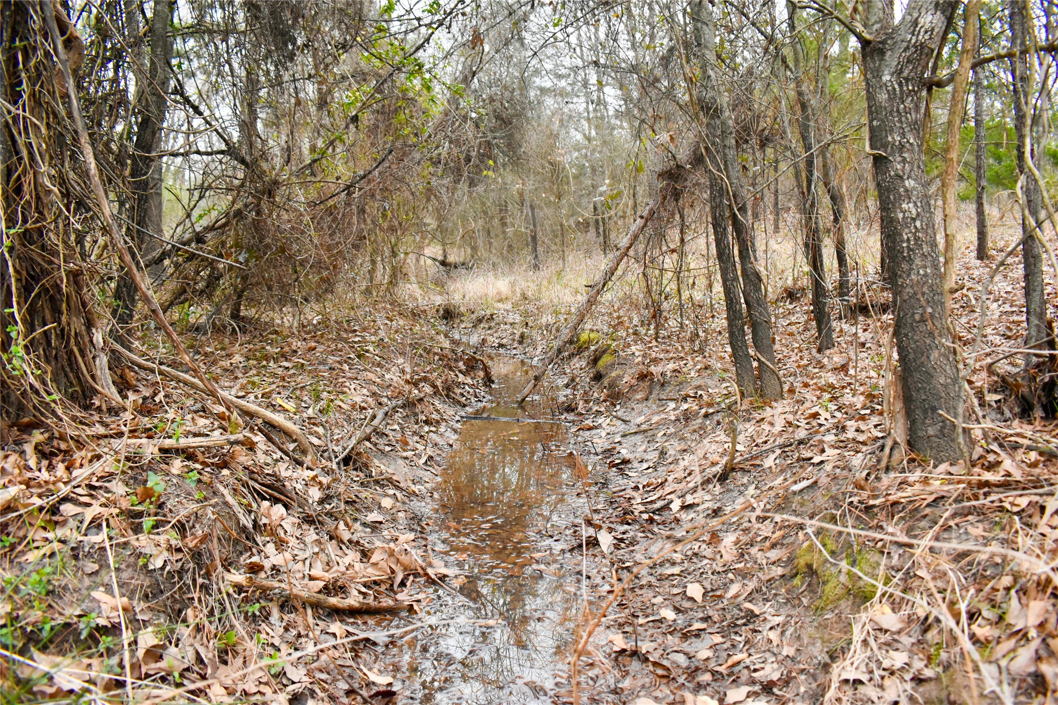 509 County Road 35985 Powderly TX 75473