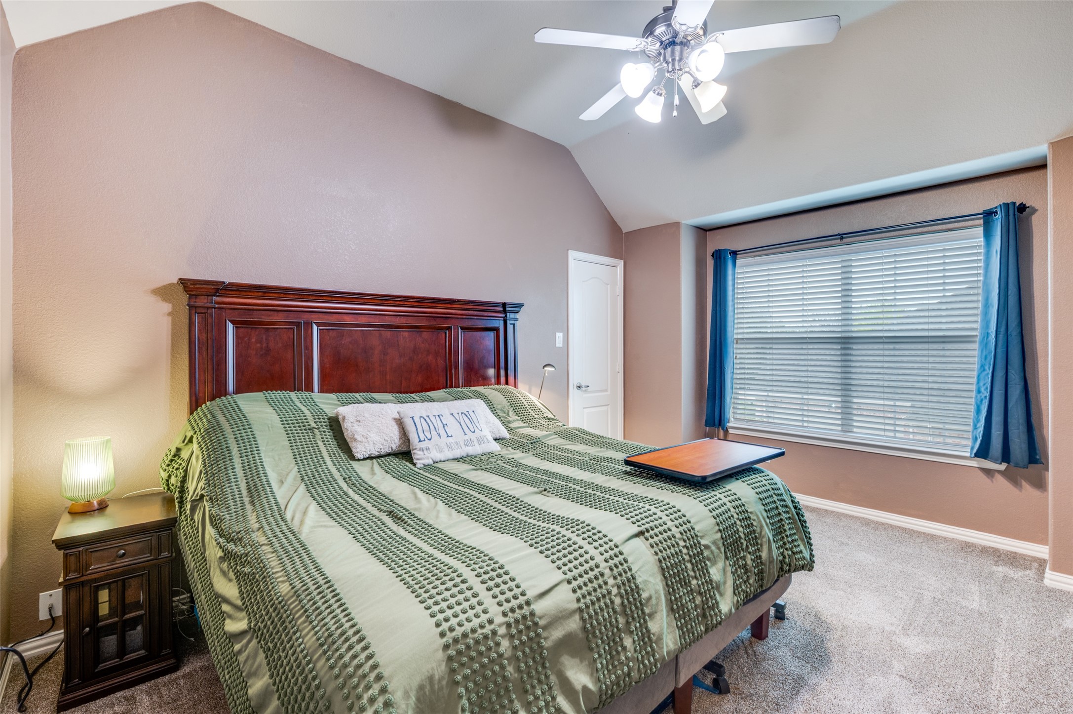 110 Paradise Cove Shady Shores TX 76208