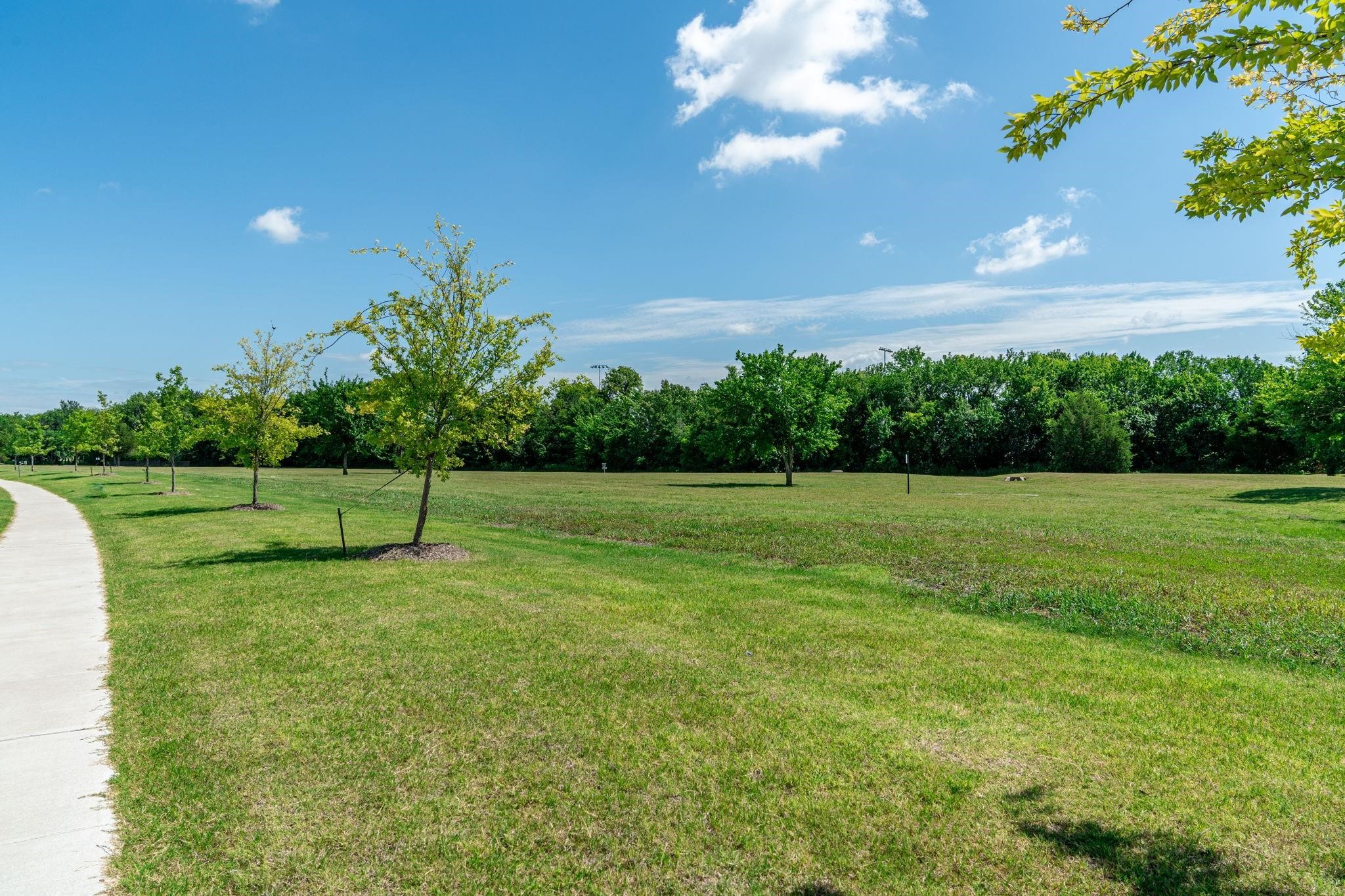 1117 Birdsong Trail Anna TX 75409