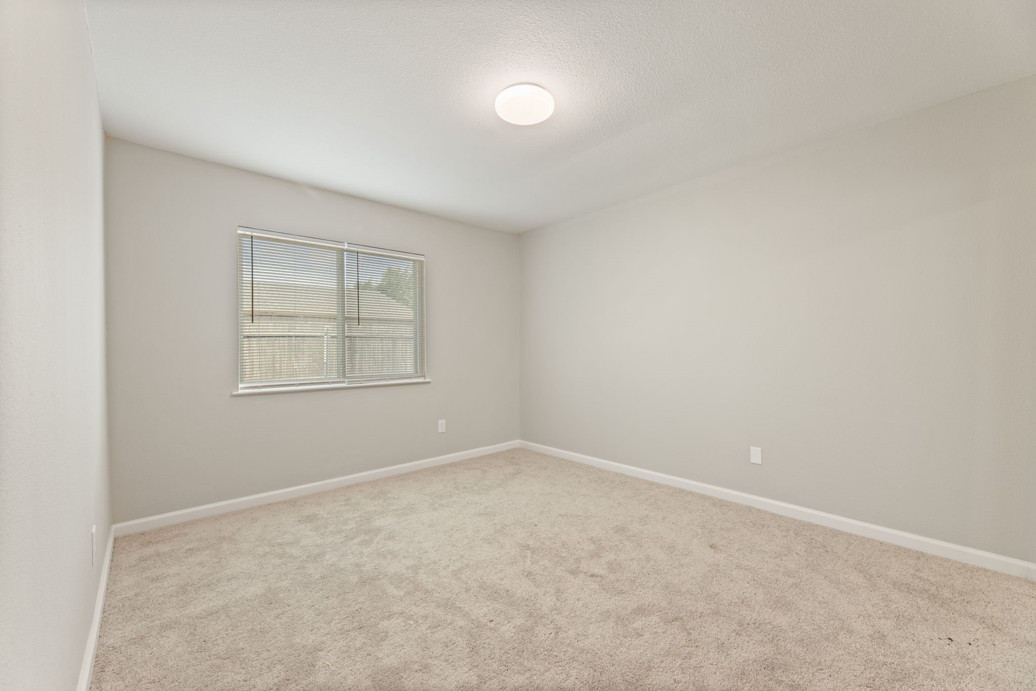 4824 Wheeler Drive The Colony TX 75056