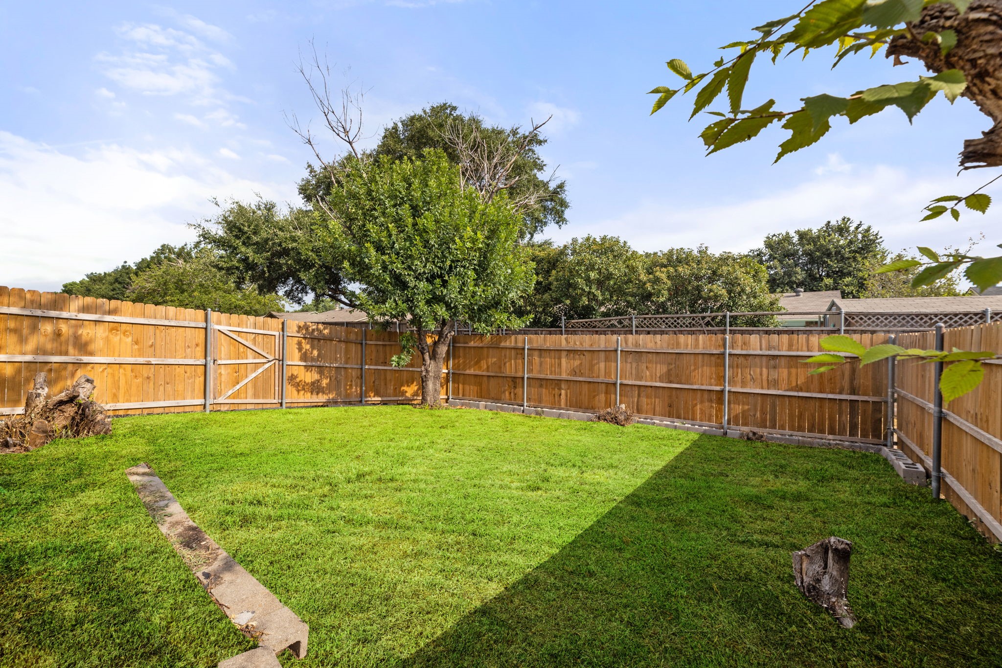 4824 Wheeler Drive The Colony TX 75056