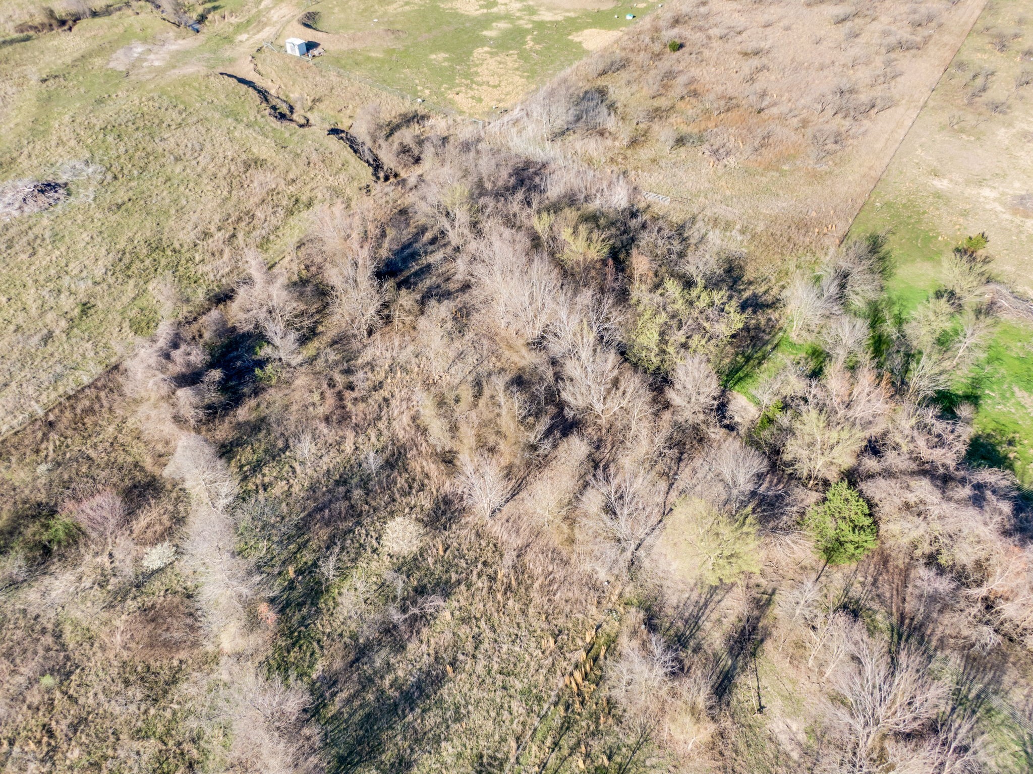 869 State Highway 171 Hubbard TX 76648