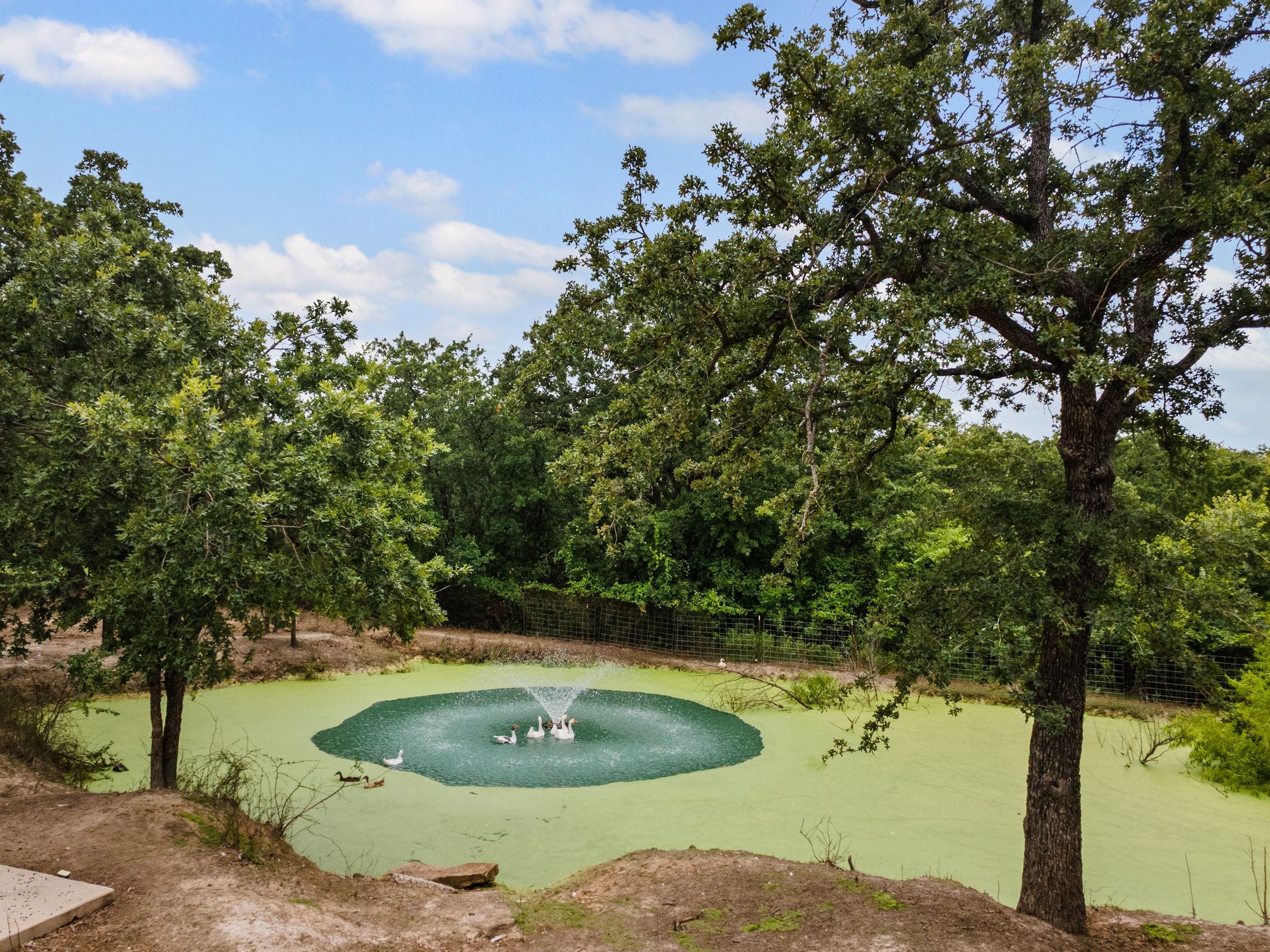 396 Wild Hill Oak Drive Springtown TX 76082