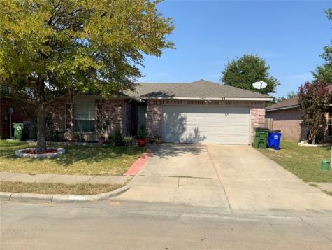 12809 Knoll Trail Balch Springs TX 75180