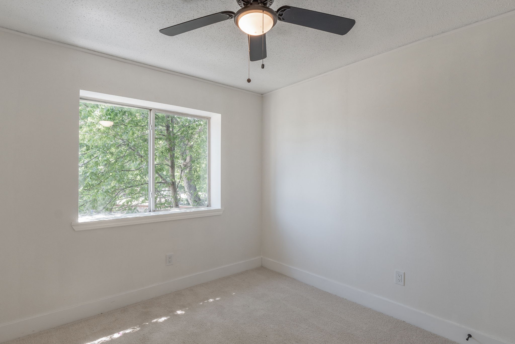 3901 Winter Park Balch Springs TX 75180