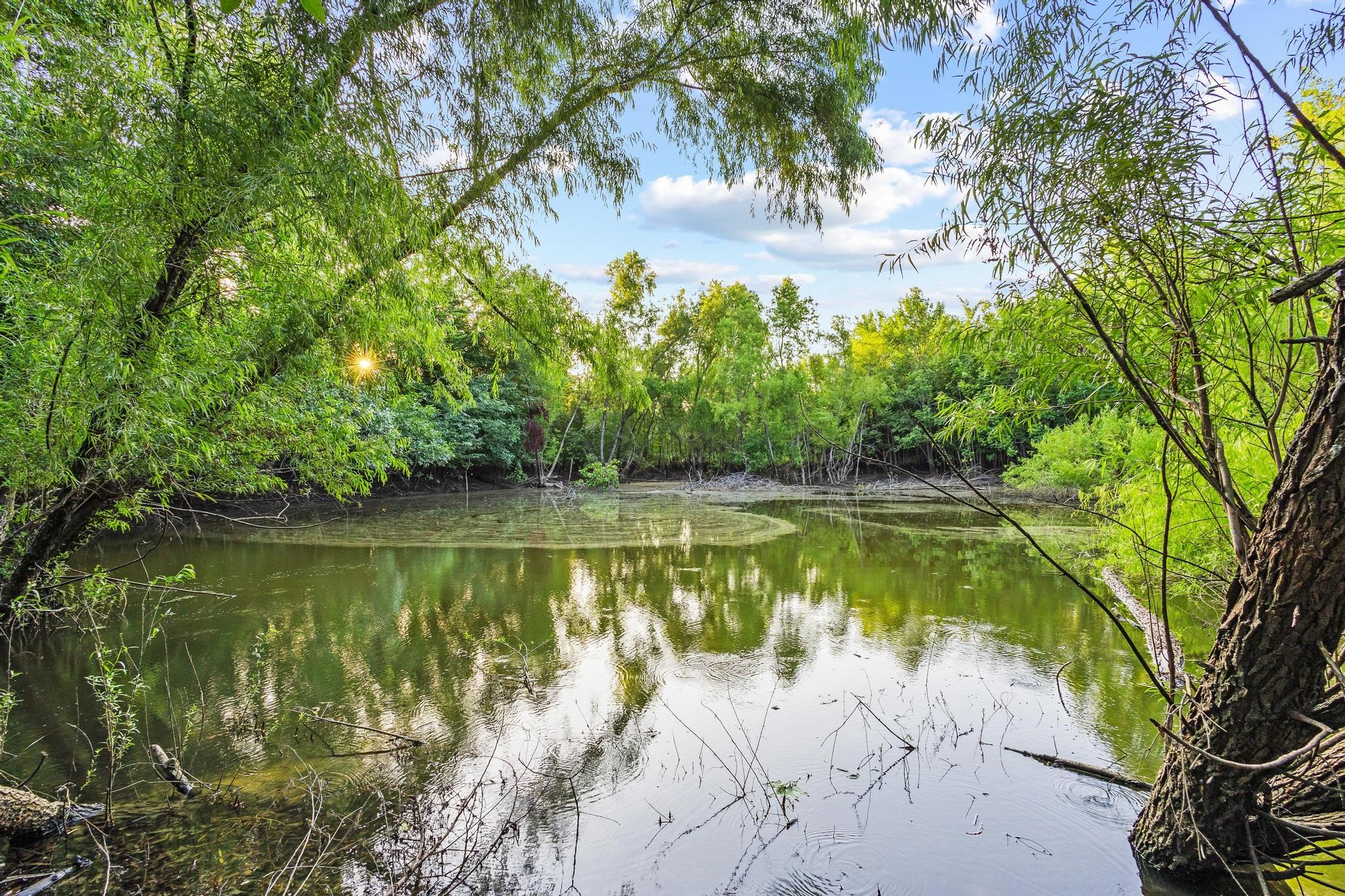 2144 County Road 3040 Bonham TX 75418