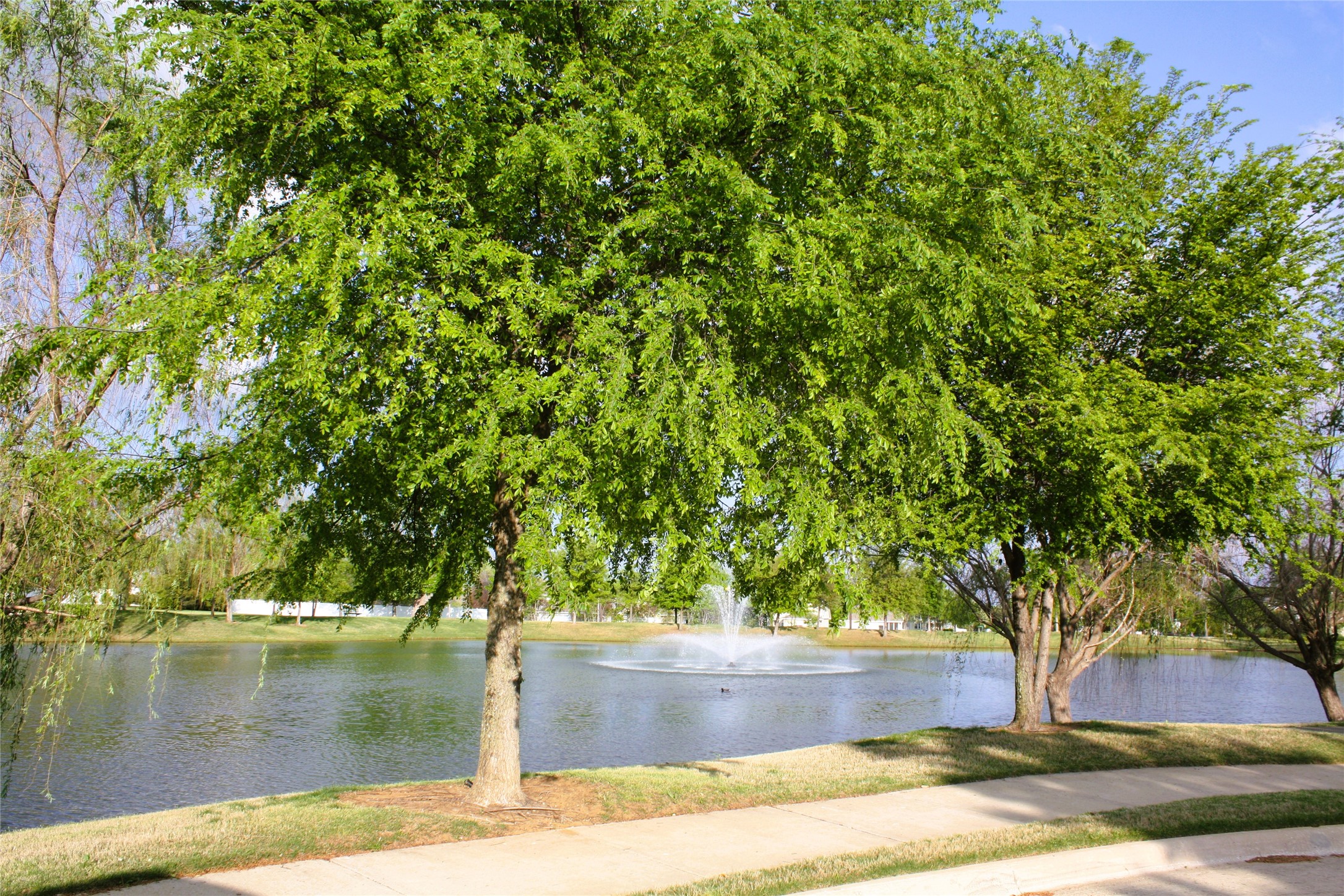 1713 Liberty Drive Providence Village TX 76227