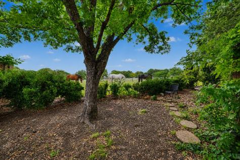 1905 Lakeway Drive Rowlett TX 75088