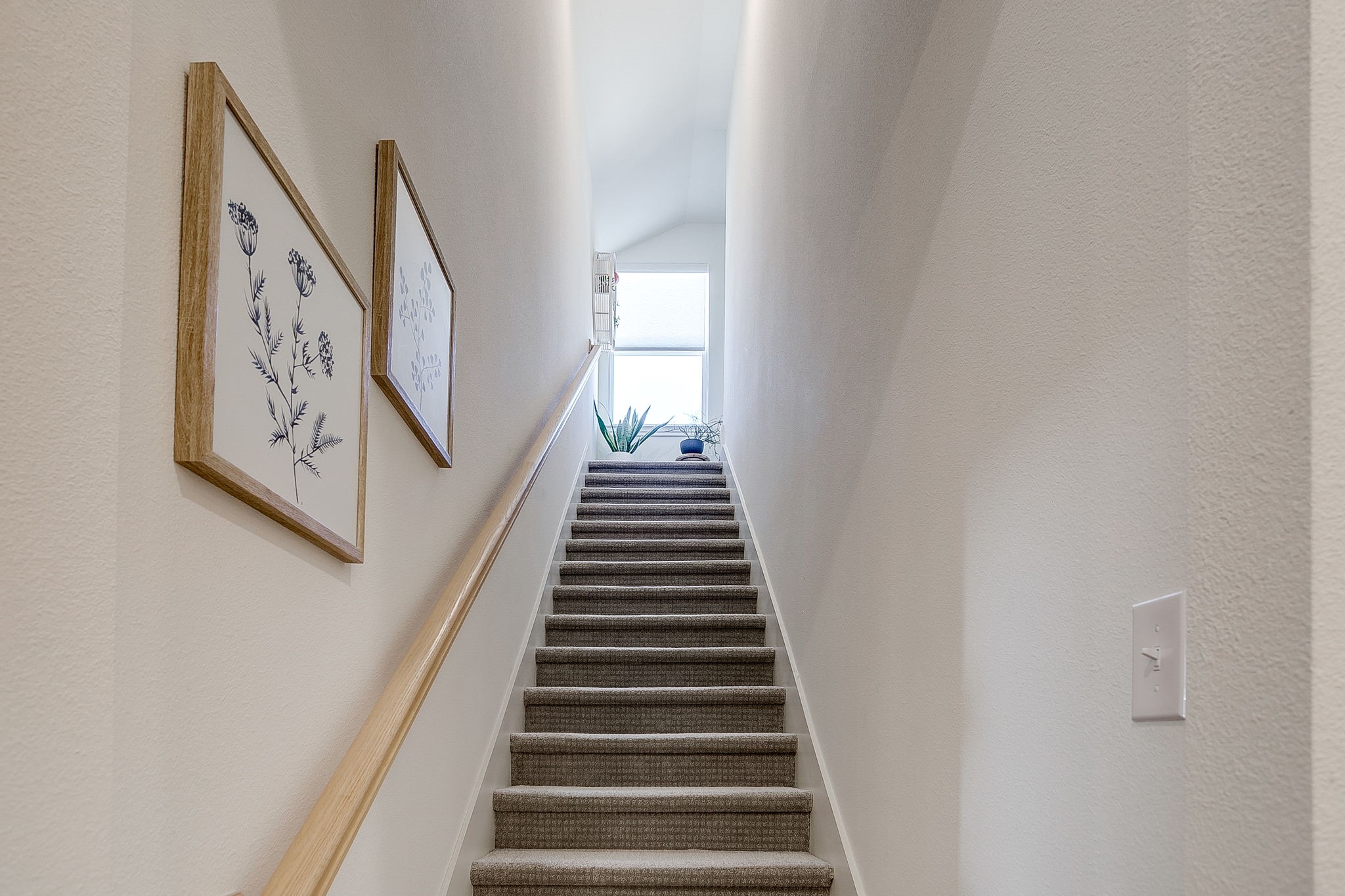 113 Harlan Court Aledo TX 76008