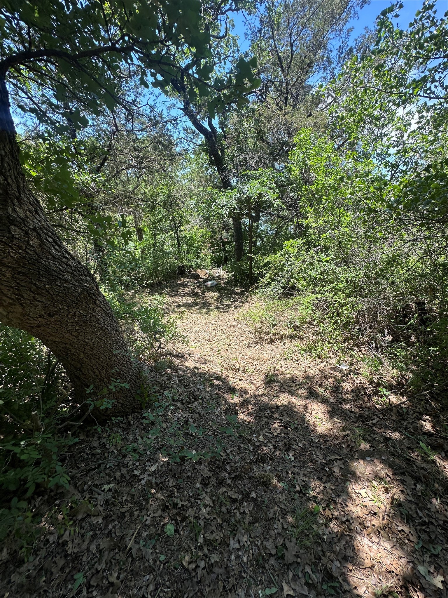 20 Marsden Lane Palo Pinto TX 76484