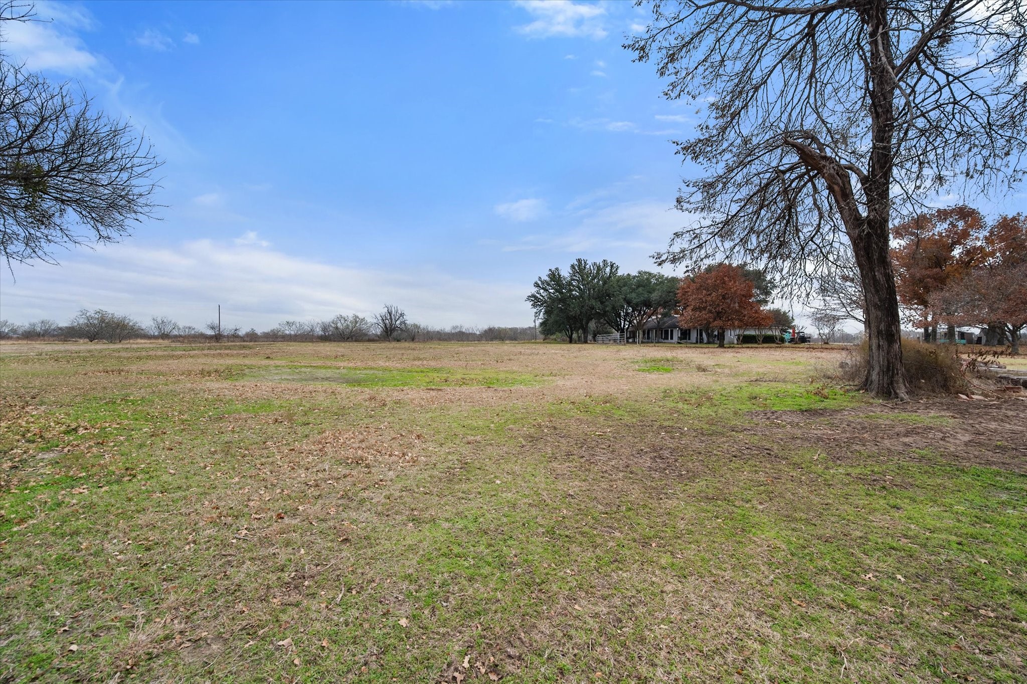 9926 NW County Road 1390 Blooming Grove TX 76626