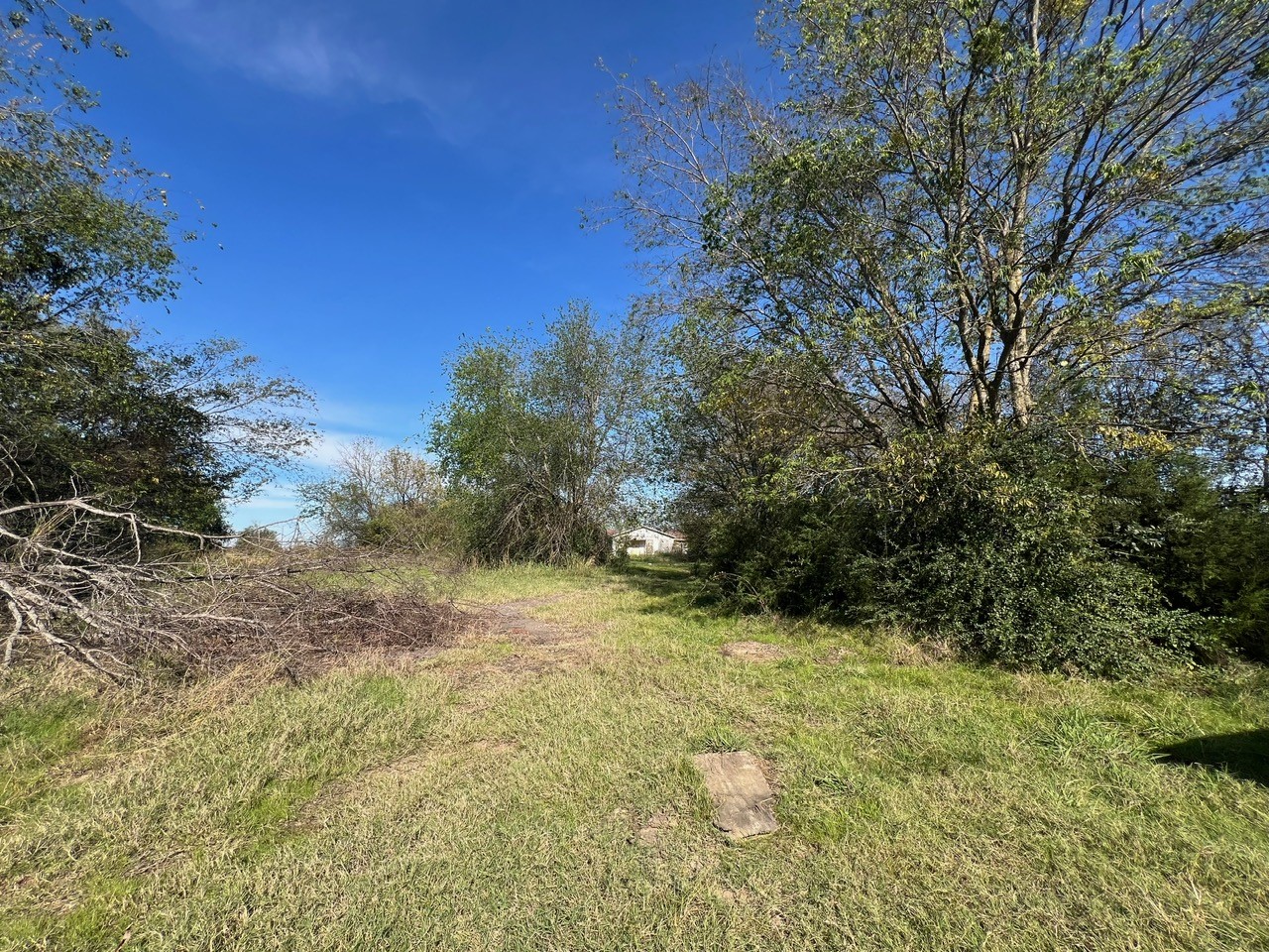 Tbd Farm Road 900 N Saltillo TX 75478