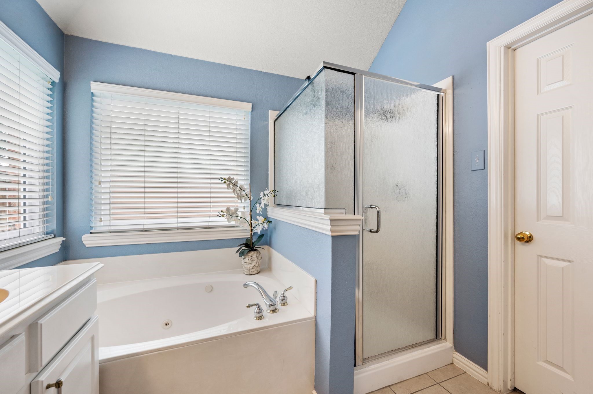 4109 Amador Court Flower Mound TX 75022