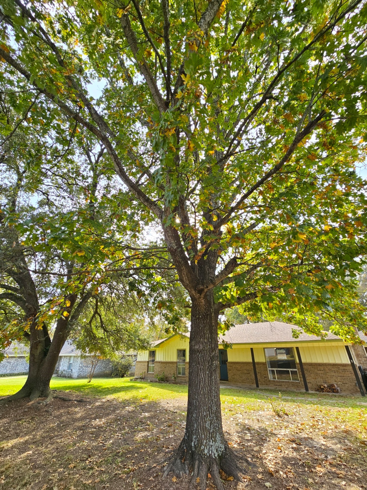 5779 N Cape Drive Chandler TX 75758