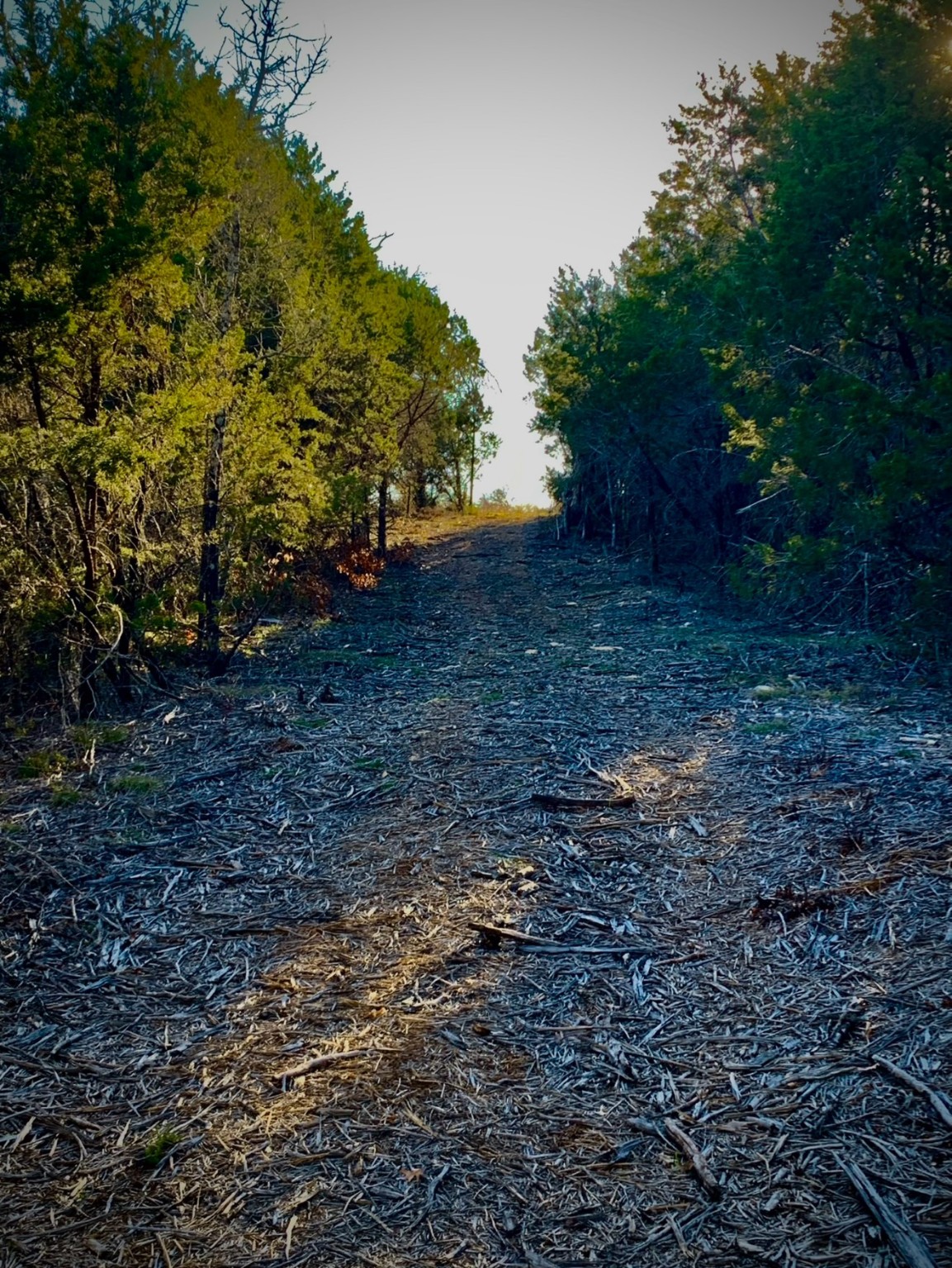 5553 Ruff Country Court Granbury TX 76048