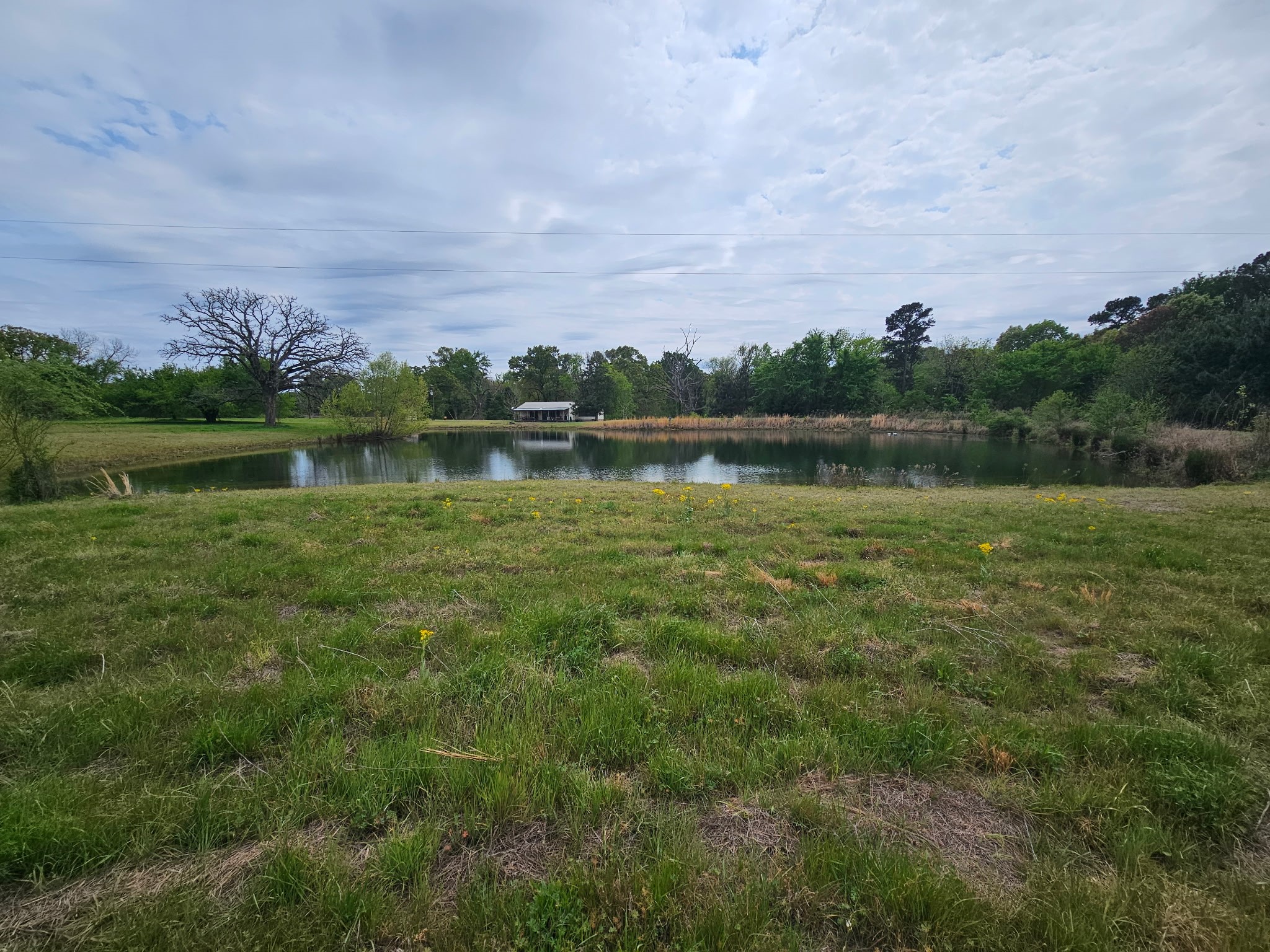 7247 County Road 4334 Larue TX 75770