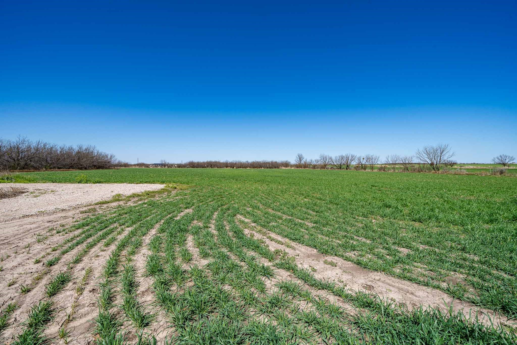 542 County Road 505 Abilene TX 79601