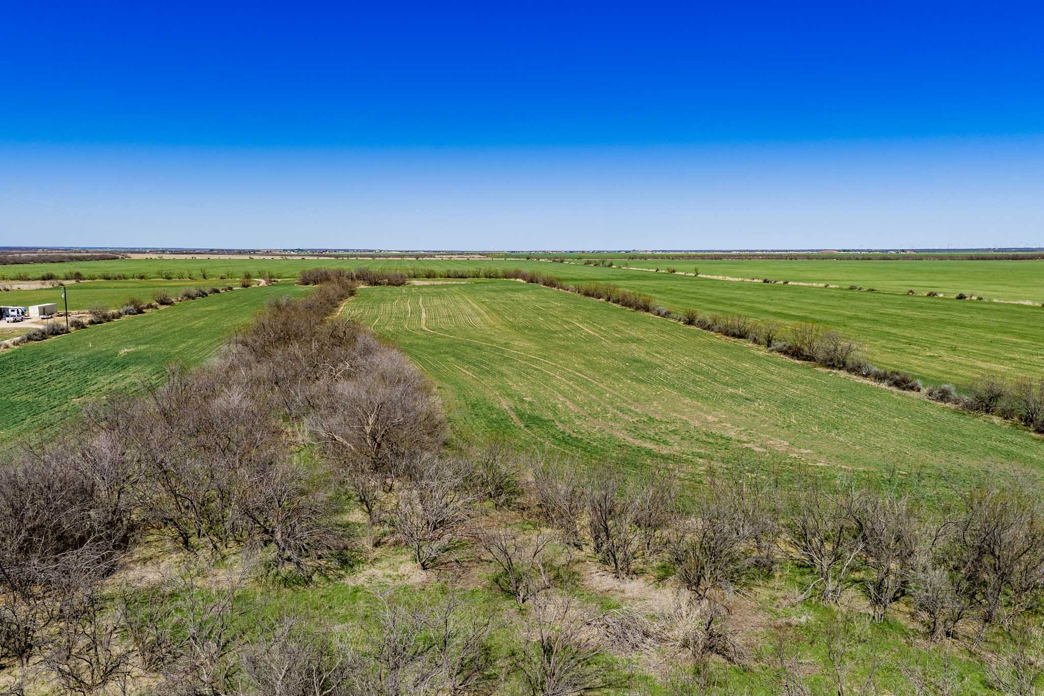 542 County Road 505 Abilene TX 79601