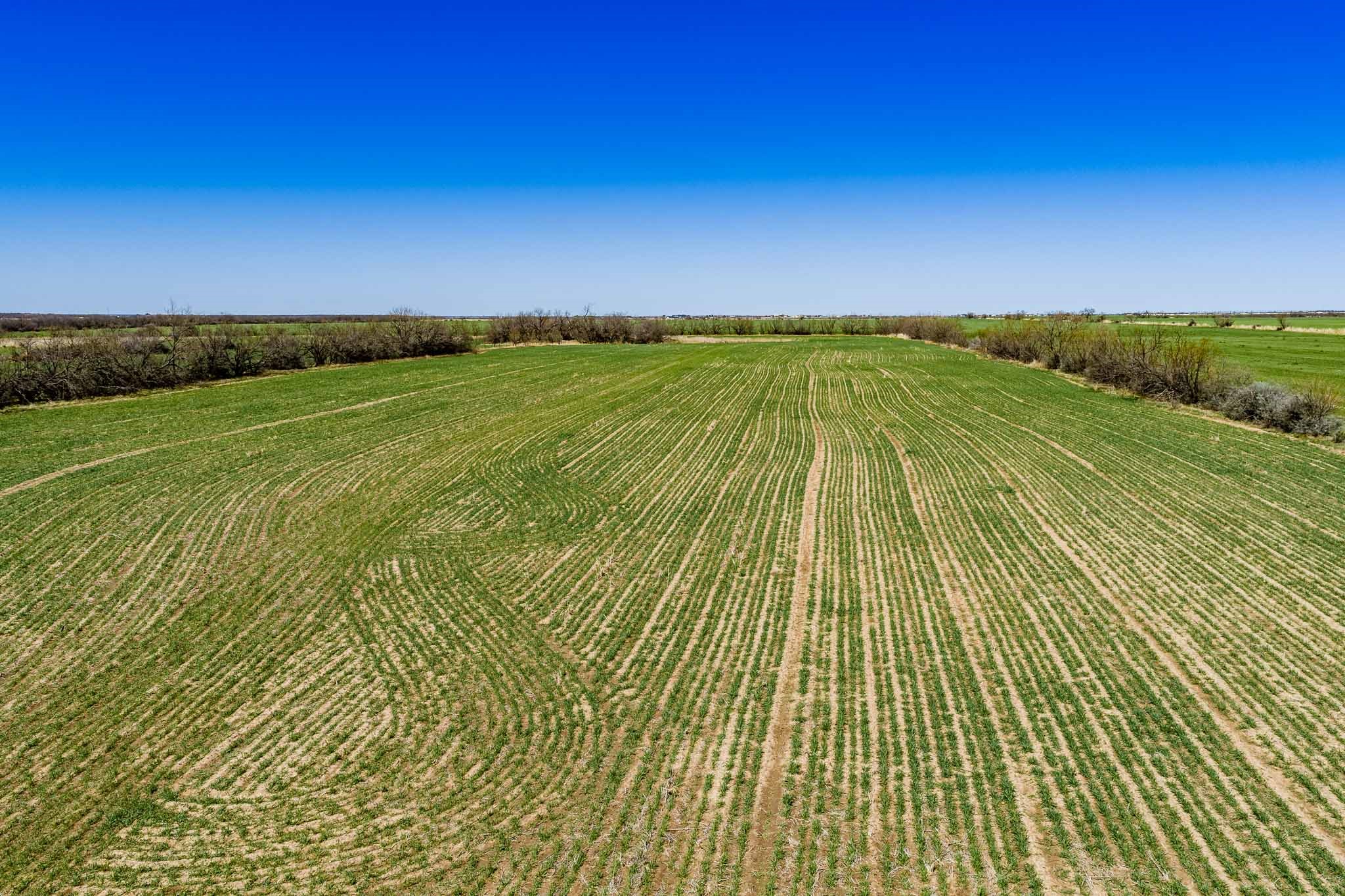 542 County Road 505 Abilene TX 79601