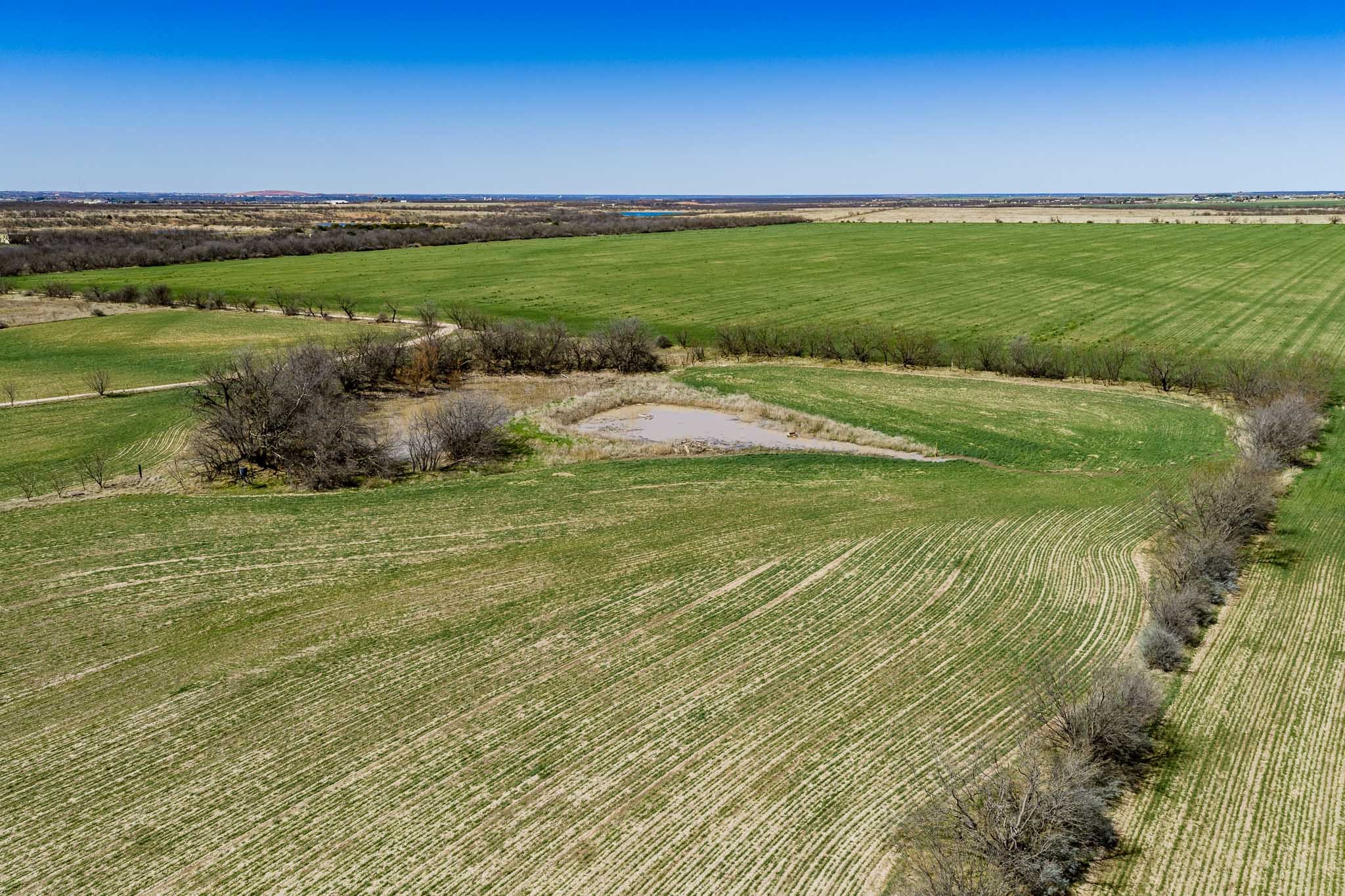 542 County Road 505 Abilene TX 79601