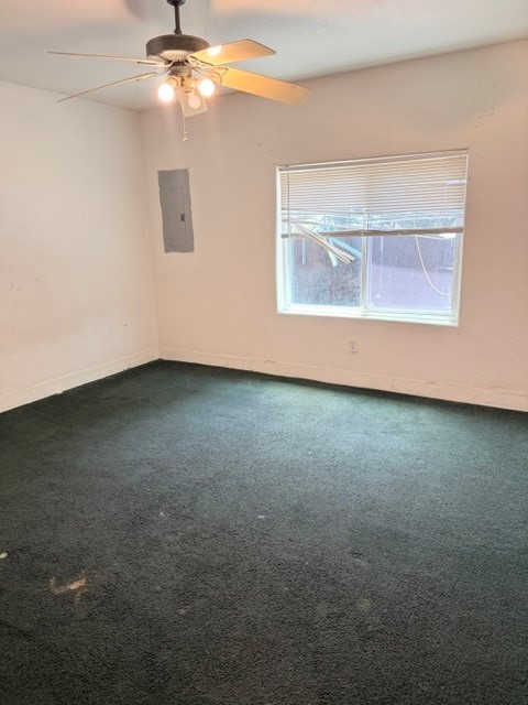 3028 Carnation Avenue Fort Worth TX 76111