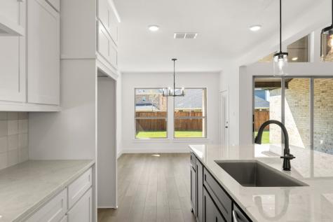 15004 Pizarro Court Little Elm TX 75068