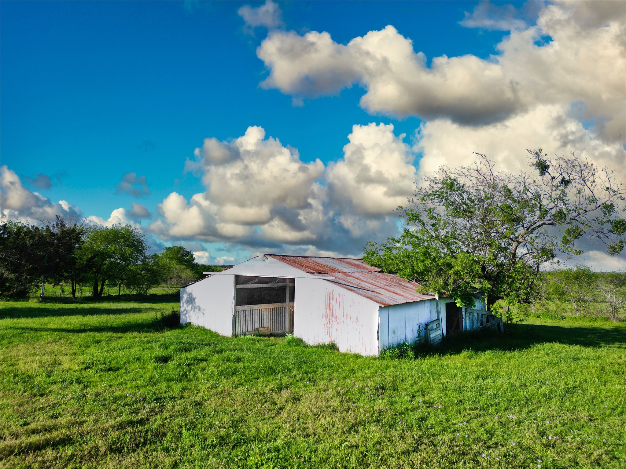 1132 Old Crawford Road Crawford TX 76638