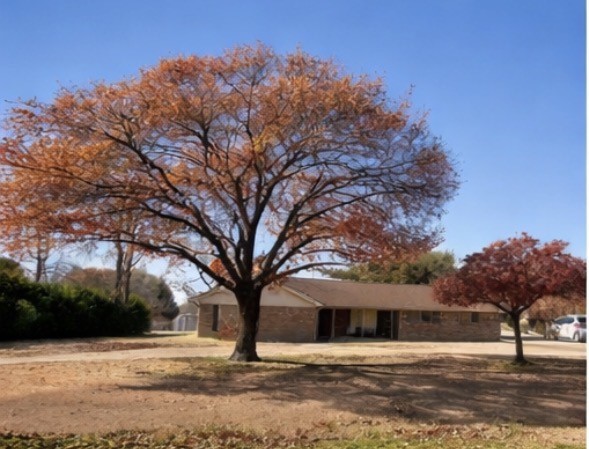 5703 Pecan Grove Drive Sachse TX 75048
