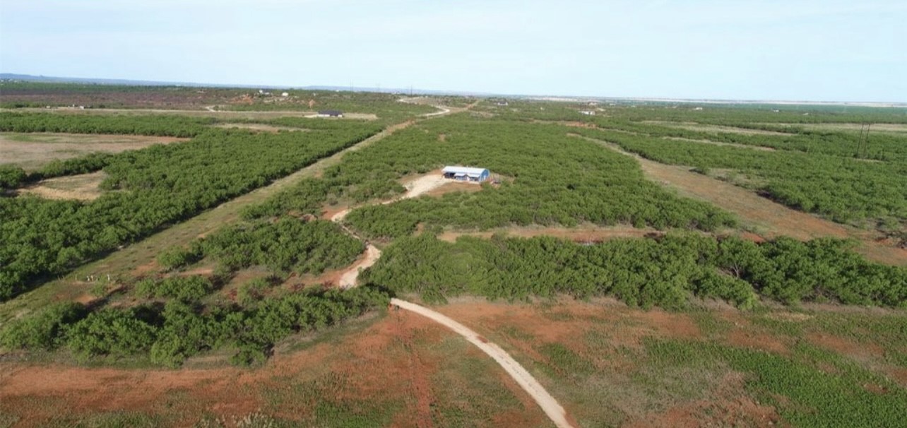 136 County Road 499 Abilene TX 79601