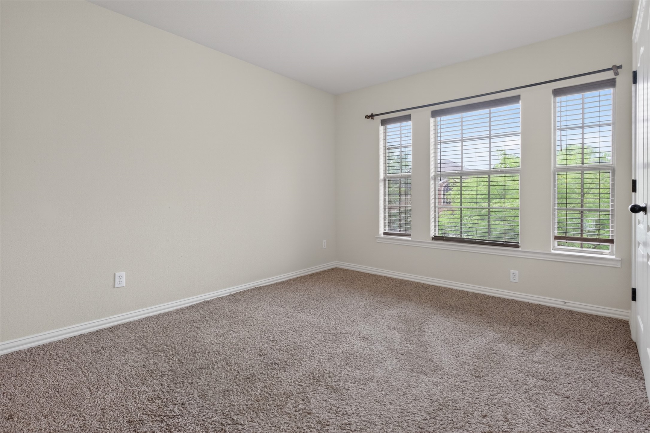 4407 Emerald Leaf Drive Mansfield TX 76063