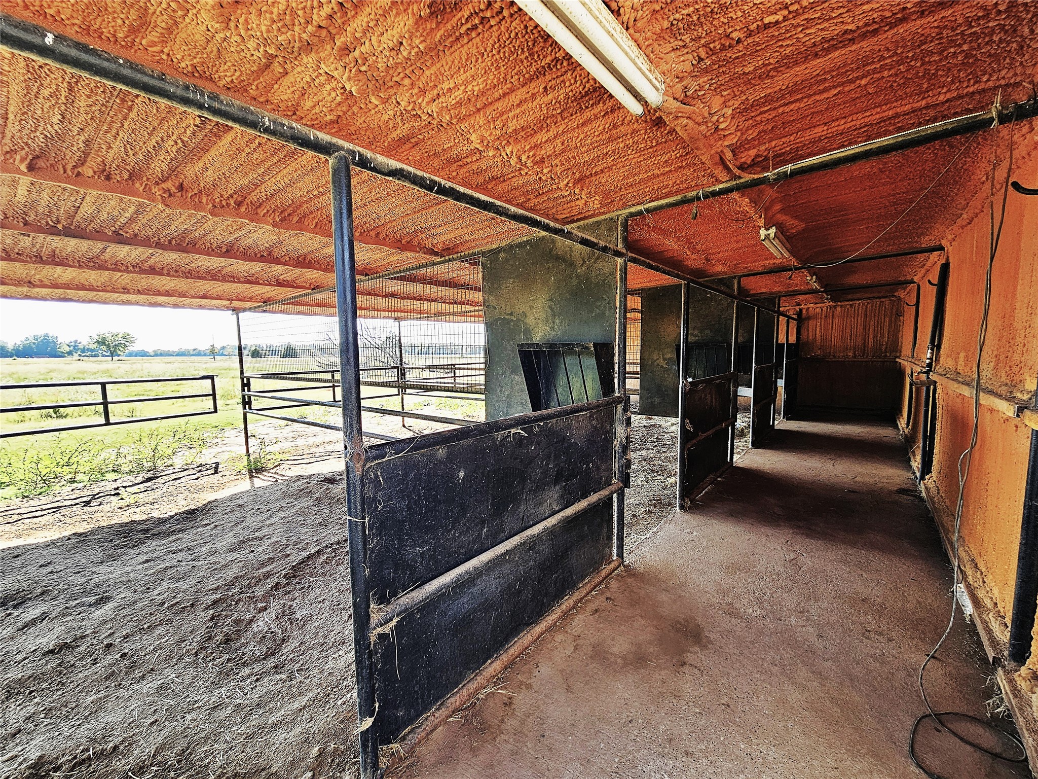 3703 Fm 39 N Mexia TX 76667