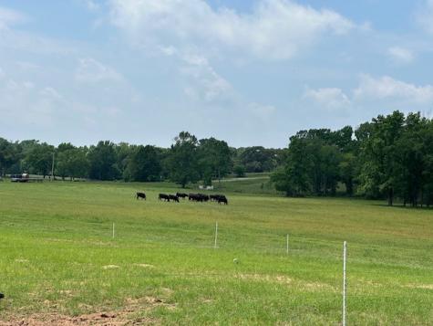 9102 County Road 3816 Athens TX 75752