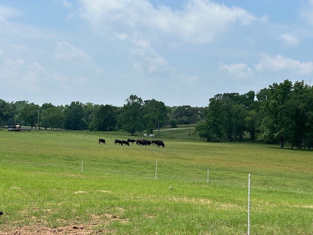 9102 County Road 3816 Athens TX 75752