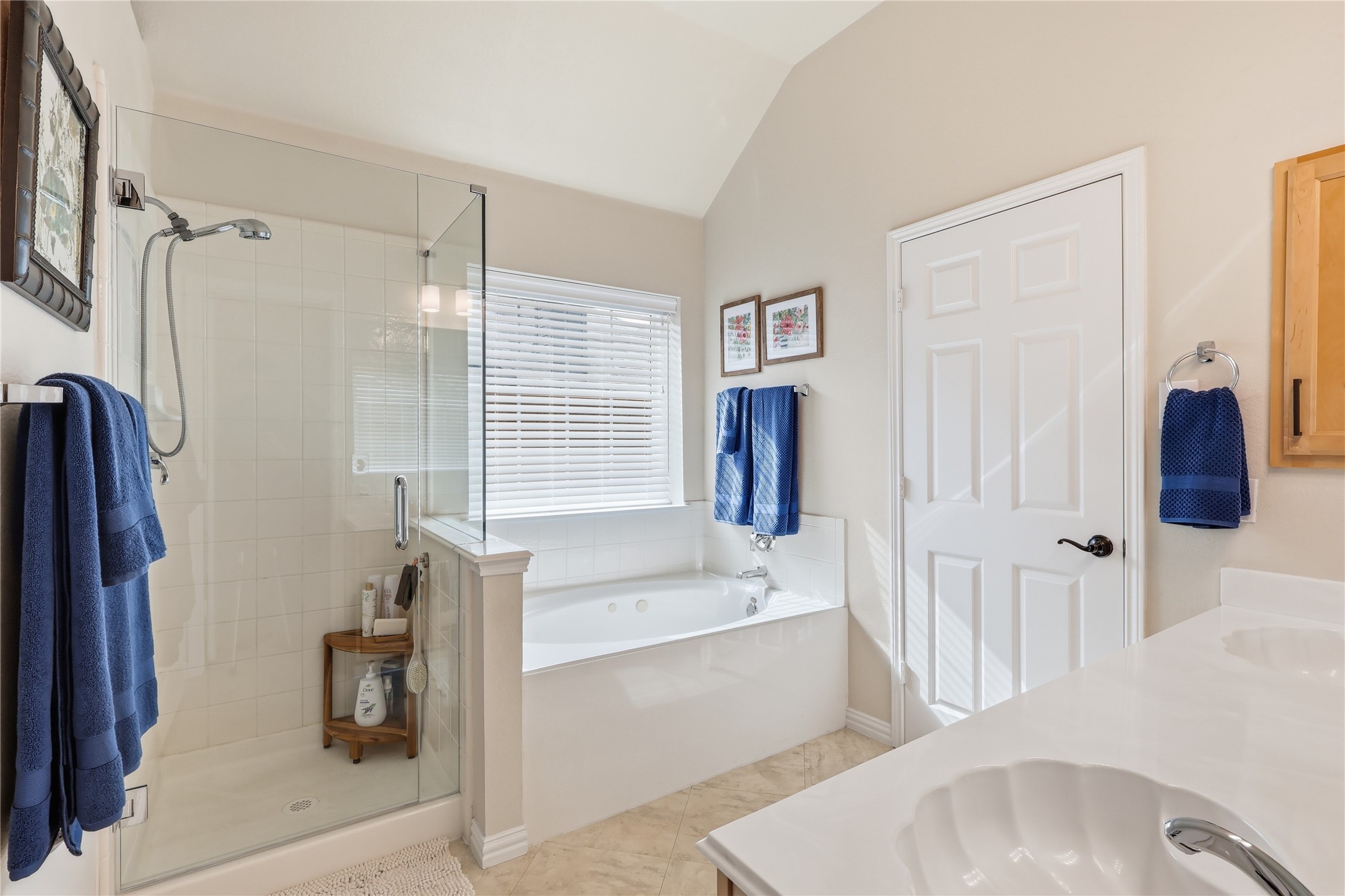 4379 Chasemoor Place Frisco TX 75035