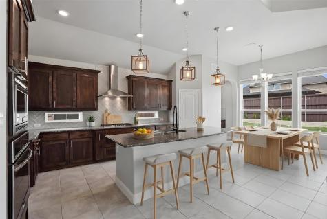 2217 Riviera Drive Little Elm TX 75068