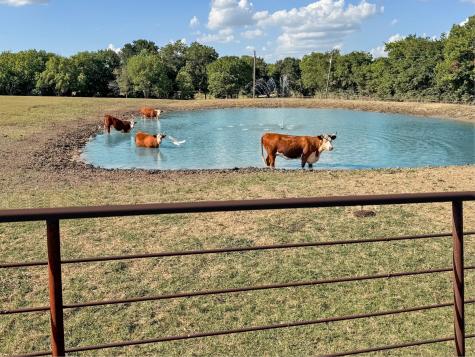 1050 County Road 5025 Trenton TX 75452