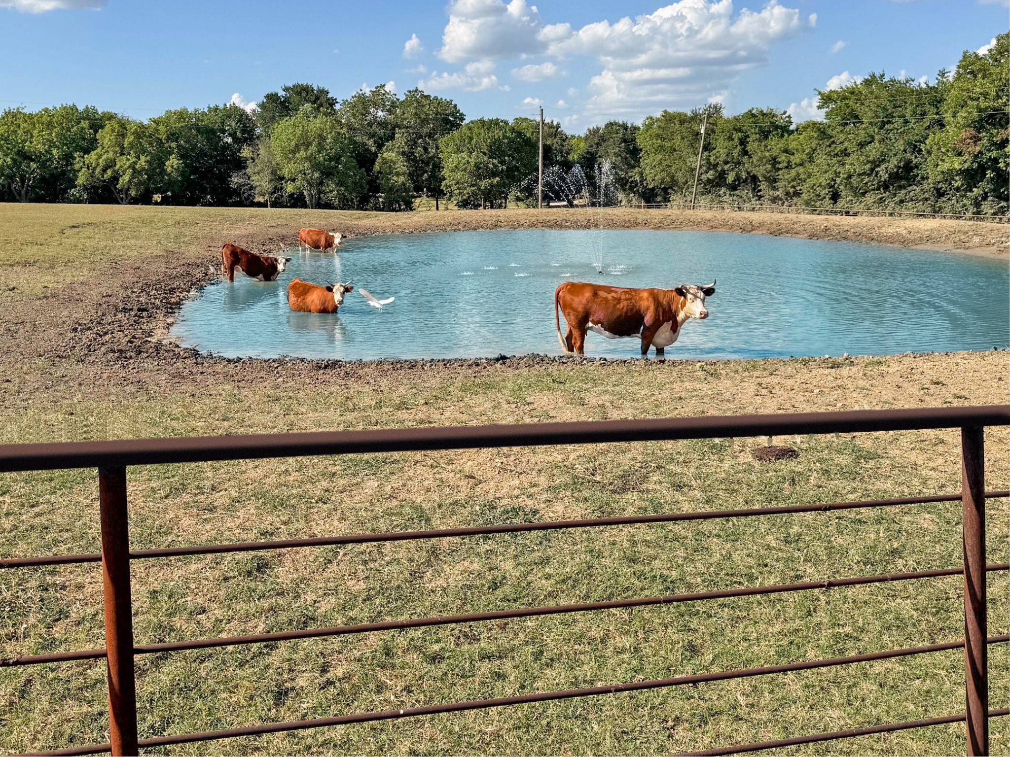 1050 County Road 5025 Trenton TX 75452